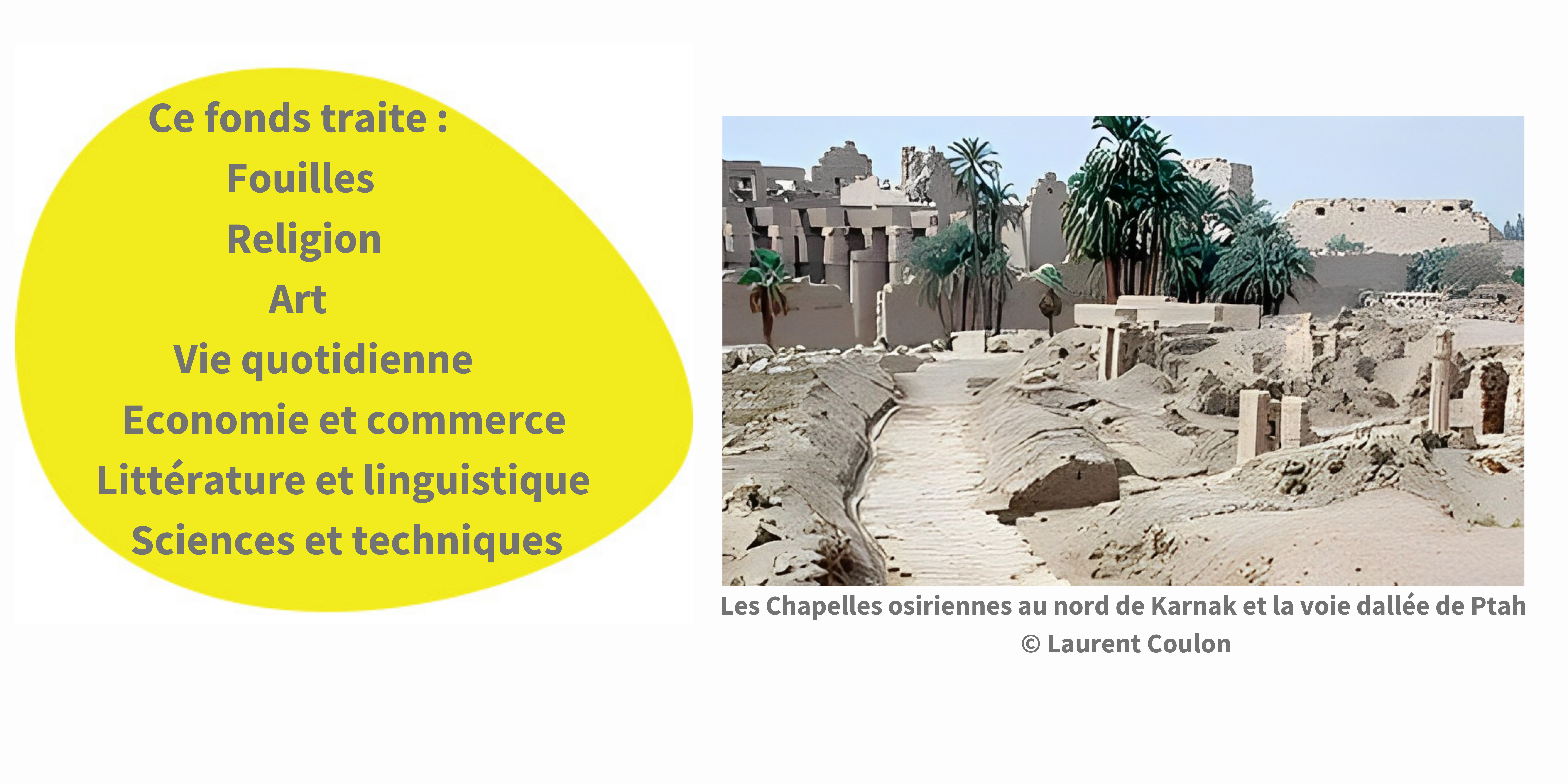 EGY - Présentation