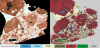  Imagerie d'échantillons de mortier : caractérisation automatique par IA des différentes phases du mortier de chaux © N. Herreyre