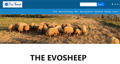 ANR EVOSHEEP