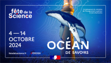 Visuel Fête de la Science 2024, un Océan de savoirs / Crédits : MESR Visuel Fête de la Science 2024, un Océan de savoirs / Crédits : MESR