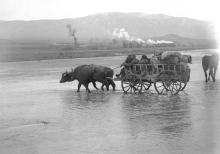 Réfugiés traversant à gué, Macédoine, ca 1916 © Coll. privée. Tout droit réservé.
