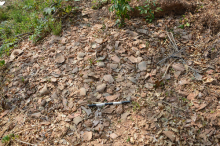 Grès khmers, site de Sor Sei, près d’Angkor © A. Desbat